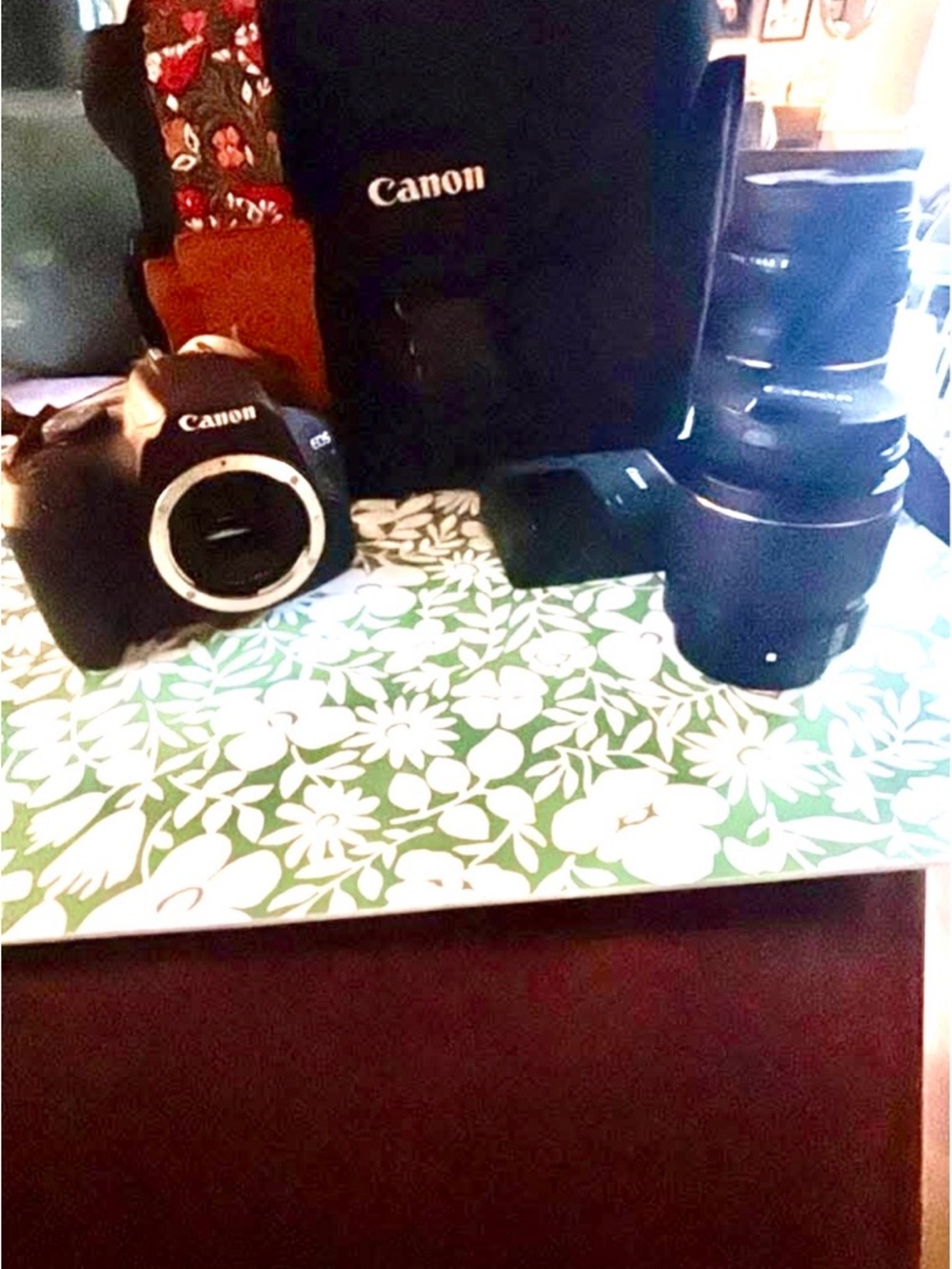 Canon Black EOSwith Black Telephoto Lens and Black Carry Case